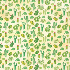 Ursus fotókarton, 50x70cm, 300g/m2, kaktuszok