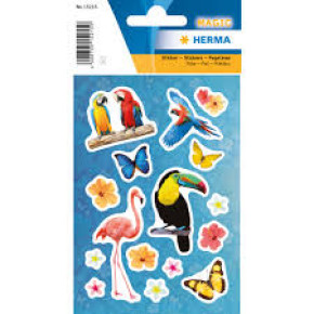 Herma matrica, madár parádé