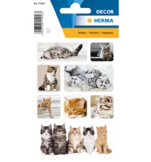 Herma matrica, kölyök macskák