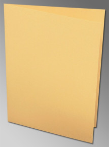 Rössler A/6 karton, 2 részes (10,5x14,8 cm, 220 g) dinnye