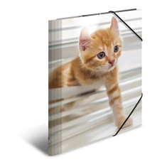 Herma gumis mappa A4, PP, fényes, cicák