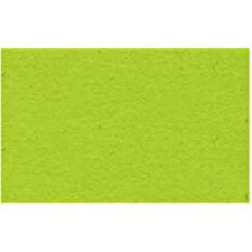Ursus fotókarton, A4, 300g, világoszöld/50