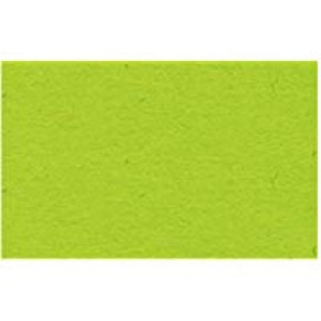 Ursus fotókarton, A4, 300g, világoszöld/50