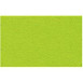 Ursus fotókarton, A4, 300g, világoszöld/50