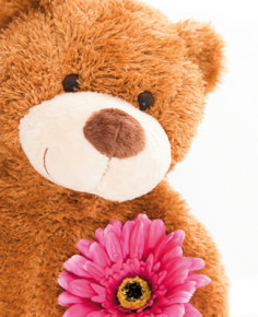 BSB ajándékkísérő (6,5x8 cm), maci margarétával (állvány)