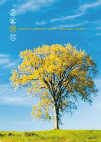 Mapcards 3D képeslap (15x10,5 cm) 4-évszak (álló)