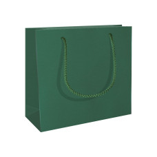 RC ajándéktasak, CD méret (15x8x15 cm) zöld, matt