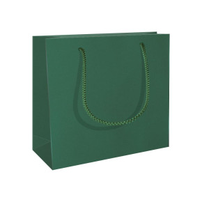 RC ajándéktasak, CD méret (15x8x15 cm) zöld, matt